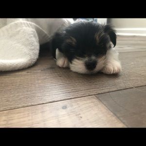 Meet your Posher, Melissa